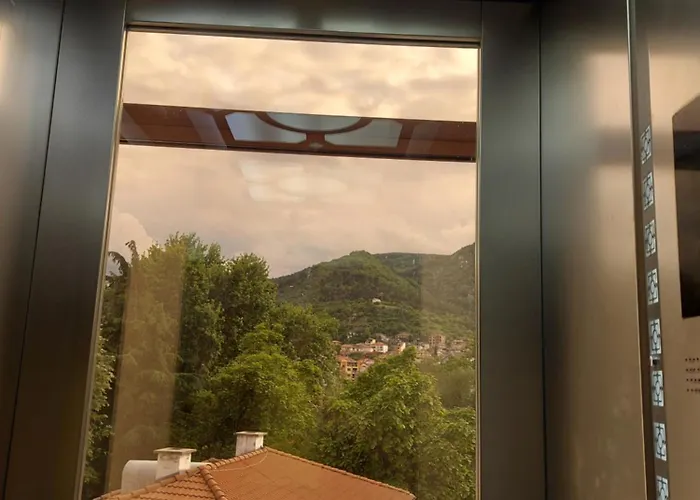 за гости асеновец